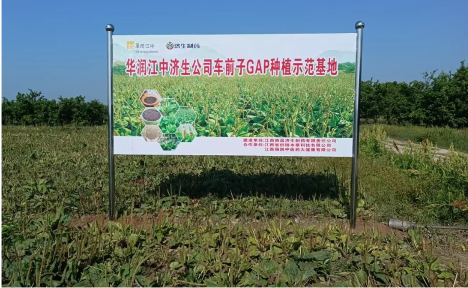 示范基地 示范基地.png